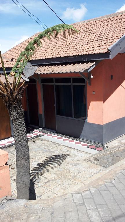 Sedulur Homestay 브로모 외부 사진